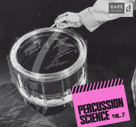 RARE Percussion Percussion Science Vol.7 WAV